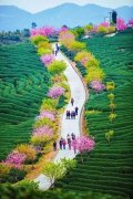 開江縣回龍鎮“四優四促