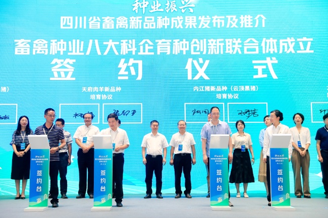 簽約儀式現場。主辦方供圖