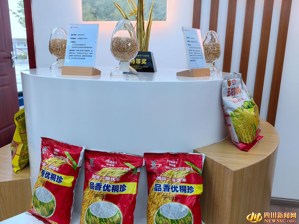 羅江種子站展陳的優質水稻品種_副本.jpg