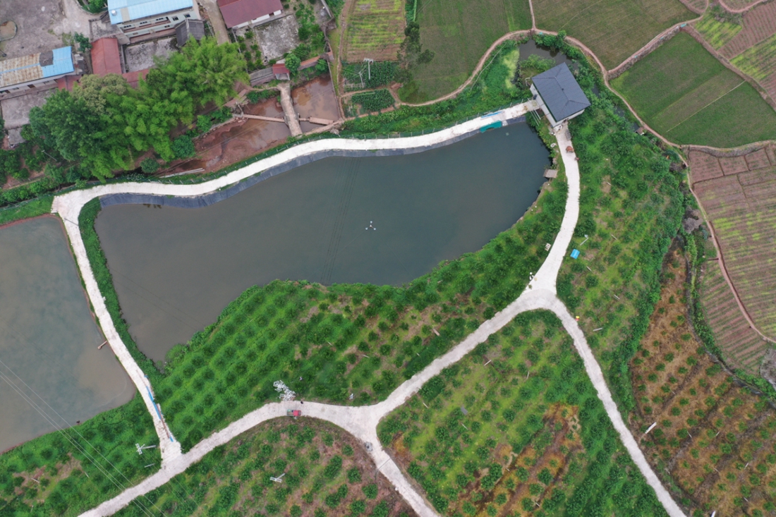 眉山市仁壽縣曾某非法占用農用地案1.jpg