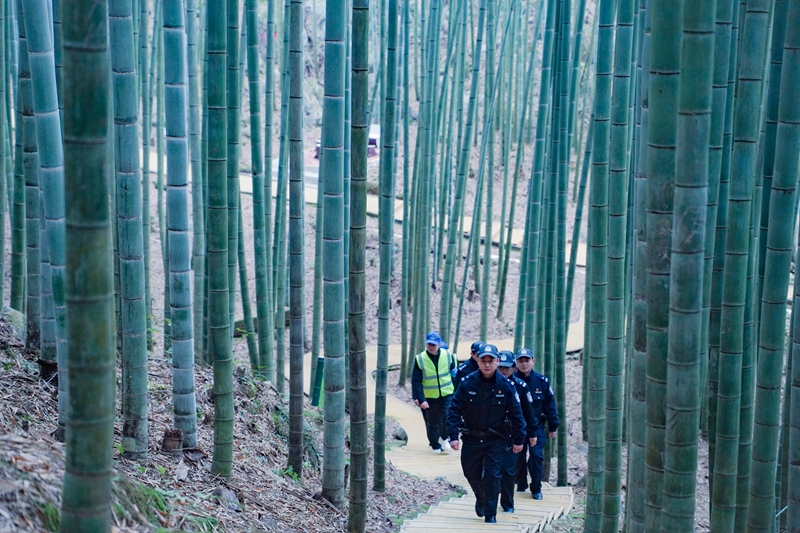 達州“巴山生態義警隊”在大竹縣五峰山森林公園巡邏.jpg